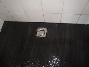 afvoer-badkamer-verstopt1 WC verstopt Volendam